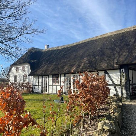 Baekgaarden 3 Rooms Apartment - Old Farm House オーデンセ エクステリア 写真