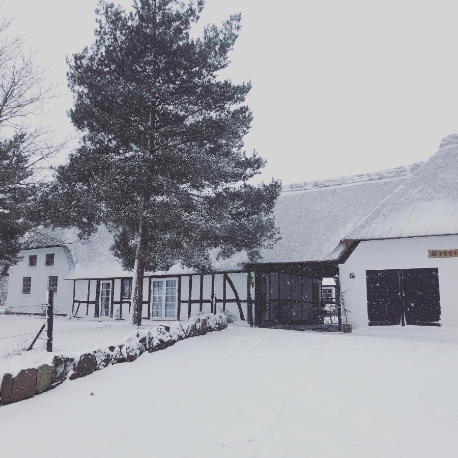 Baekgaarden 3 Rooms Apartment - Old Farm House オーデンセ エクステリア 写真