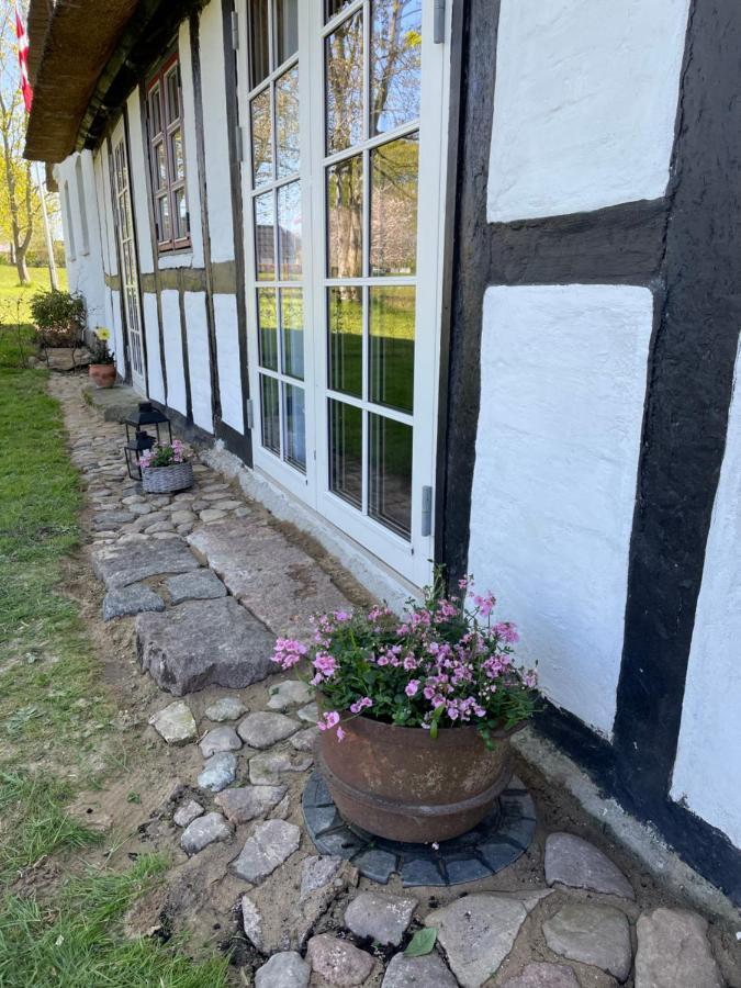 Baekgaarden 3 Rooms Apartment - Old Farm House オーデンセ エクステリア 写真