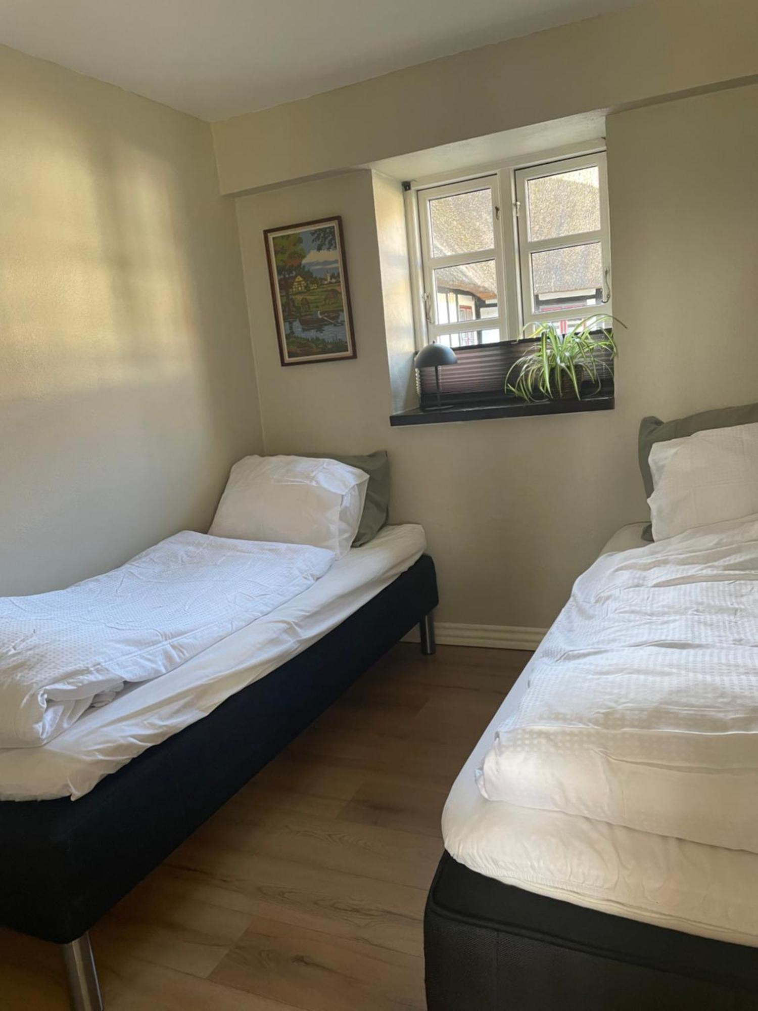 Baekgaarden 3 Rooms Apartment - Old Farm House オーデンセ エクステリア 写真